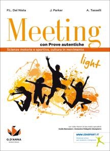 Meeting light