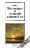 Micromegas et le monde comme il va