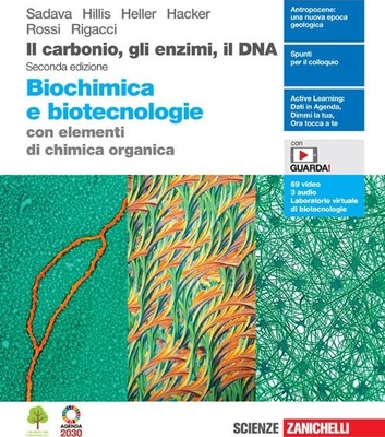 Il carbonio, gli enzimi, il DNA : biochimica e biotecnologie con elementi di chimica organica