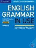 English grammar in use with answers 5th edition