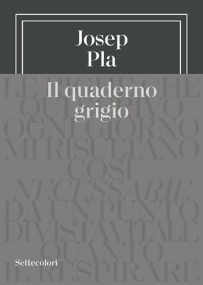 Il quaderno grigio