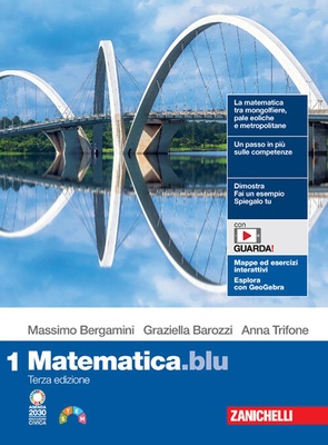 Matematica BLU 1
