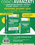 Codice penale e di procedura penale avanzato, con guide giurisprudenziali e operative, formule e schemi a lettura guidata aggiornato alla L. 9 giugno 2025, n. 80, di conv. del D.l. 11 aprile 2025, n. 48 c.d. Decreto Sicurezza. Con espansione online