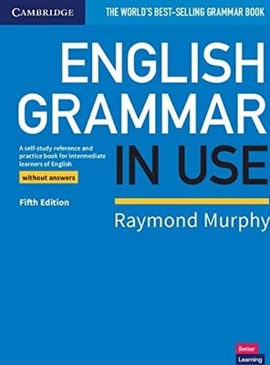 English Grammar in Use. Book without Answers: A Self-study Reference and Practice Book for Intermediate Learners of English