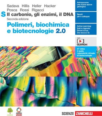Il carbonio, gli enzimi, il DNA. Polimeri, biochimica e biotecnologie 2.0