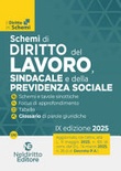 schemi di diritto del lavoro
