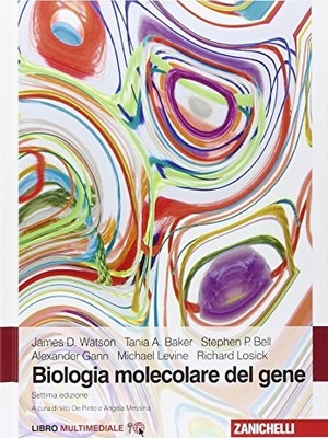 Biologia molecolare del gene.