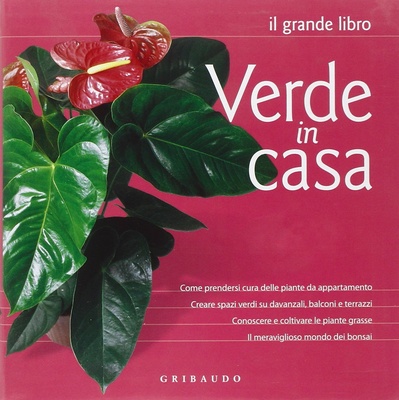 Verde in casa