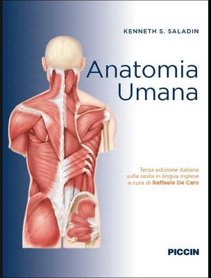 Anatomia umana 