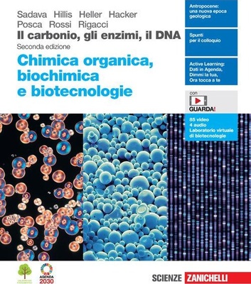 Il carbonio, gli enzimi, il DNA. Chimica organica, biochimica e biotecnologie.