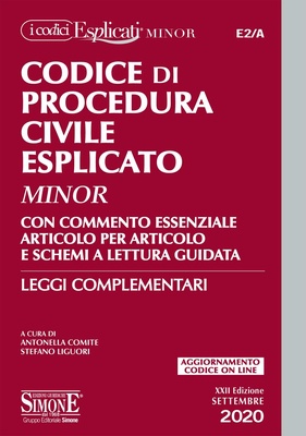 procedura civile esplicato minor