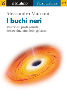 I buchi neri. Misteriosi protagonisti dell'evoluzione delle galassie